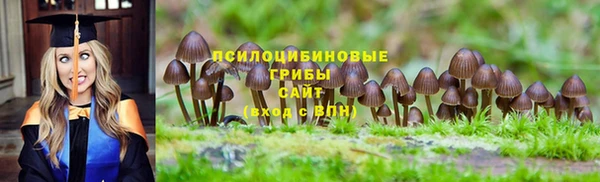 СК Алзамай