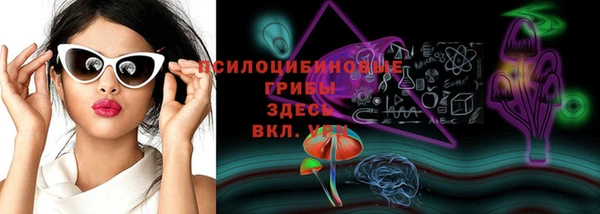 скорость Алексин