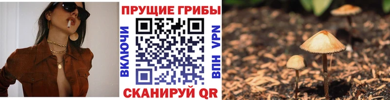 купить   Красавино  Псилоцибиновые грибы прущие грибы 